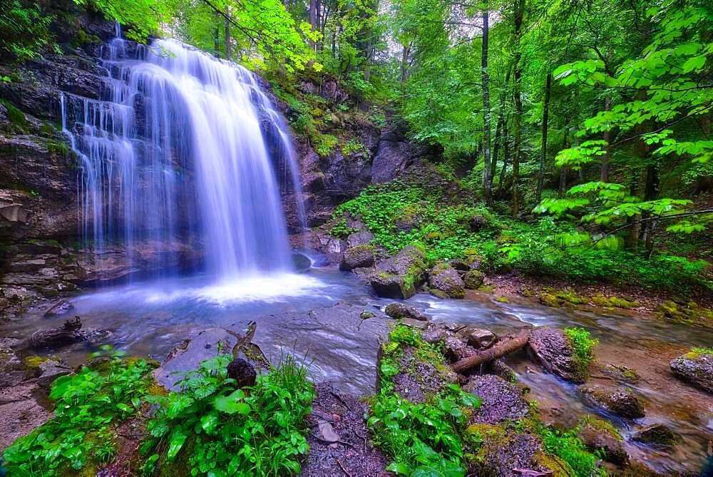 Waengibach with waterfall, Kaltbrunn, Canton St. Gallen, Switzerland, Europe