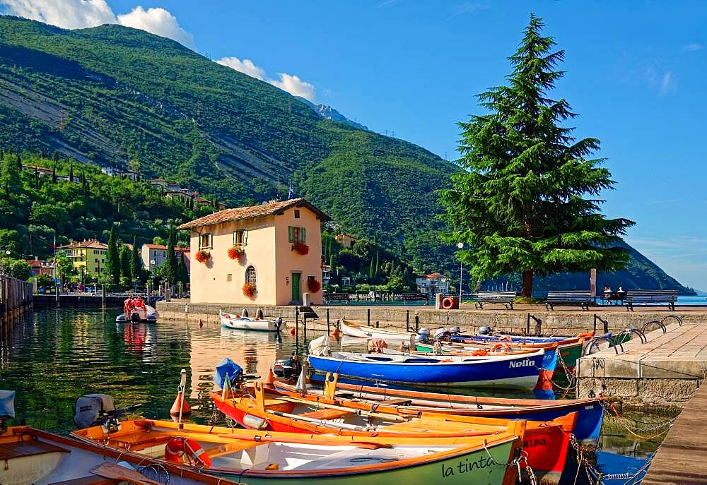 Small harbour with colourful boats, Turbel, Lake Garda North, Riva de Gardo, Trentino-Alto Adige, Italy, Europe