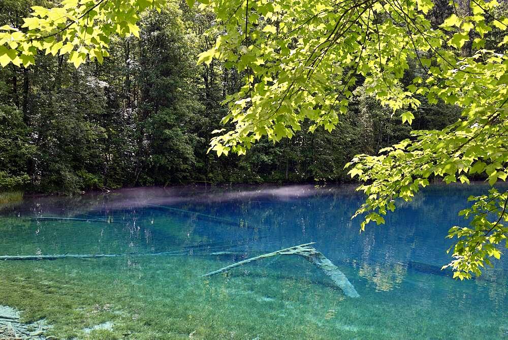 Mountain lake, Christlessee, clouds of mist drift over the clear turquoise water, tree trunks at the bottom of the lake, Trettachtal, Allgaeu Alps, Allgaeu, Bavaria, Germany, Europe