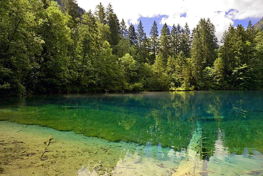 Mountain lake, Christlessee with clear turquoise water, tree trunks at the bottom of the lake, Trettachtal, Allgaeu Alps, Allgaeu, Bavaria, Germany, Europe