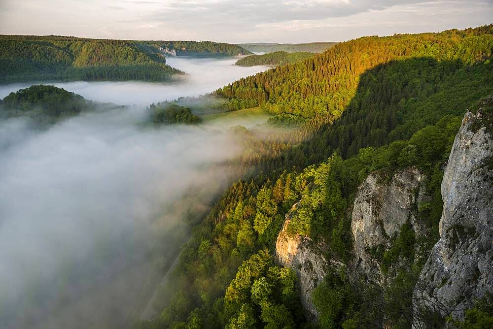 View from Eichfelsen with morning fog, sunrise, near Irndorf, Upper Danube nature Park, Upper Danube Valley, Danube, Swabian Alb, Baden-Wuerttemberg, Germany, Europe