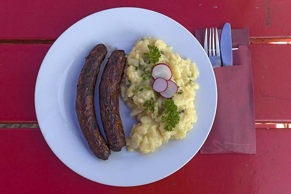 Franconian sausages with potato salad served in a garden restaurant, Bavaria, Germany, Europe