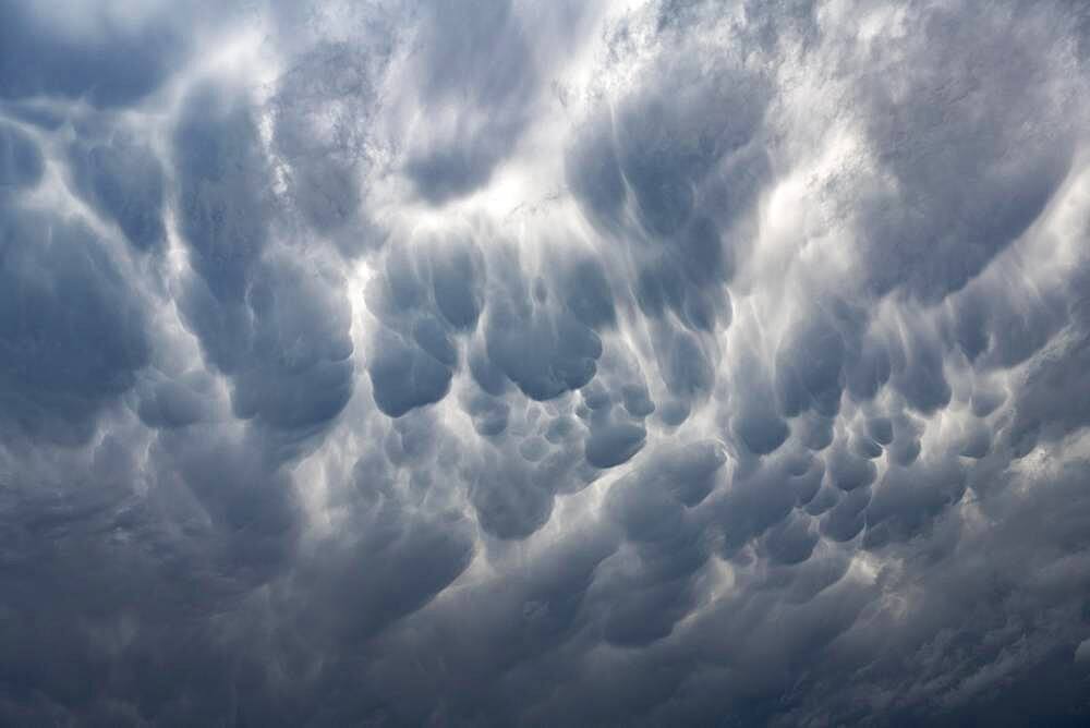 Mammatus, hanging, bag-like source forms at the bottom of a Storm cloud (Cumulonimbus), Baden-Wuettemberg, Germany, Europe