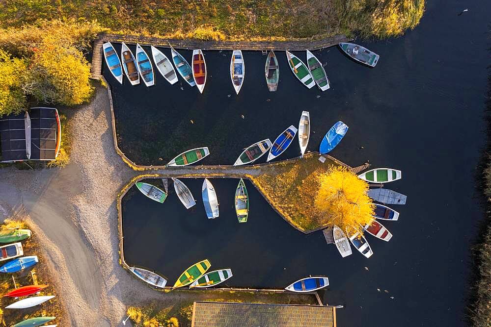 Rowing boats in the harbour from above, Seehausen am Staffelsee, morning light in autumn, drone shot, alpine foreland, Upper Bavaria, Bavaria, Germany, Europe