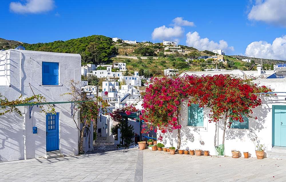 White and blue Cycladic houses with flowers, old town of Lefkes, Paros, Cyclades, Greece, Europe