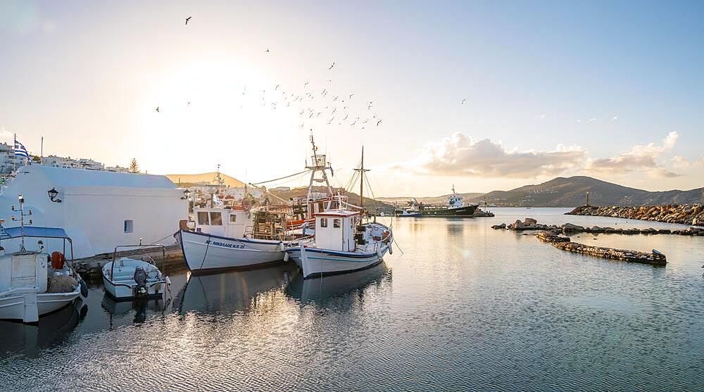 Evening atmosphere, harbour with fishing boats, Naoussa harbour town, Paros island, Cyclades, Greece, Europe