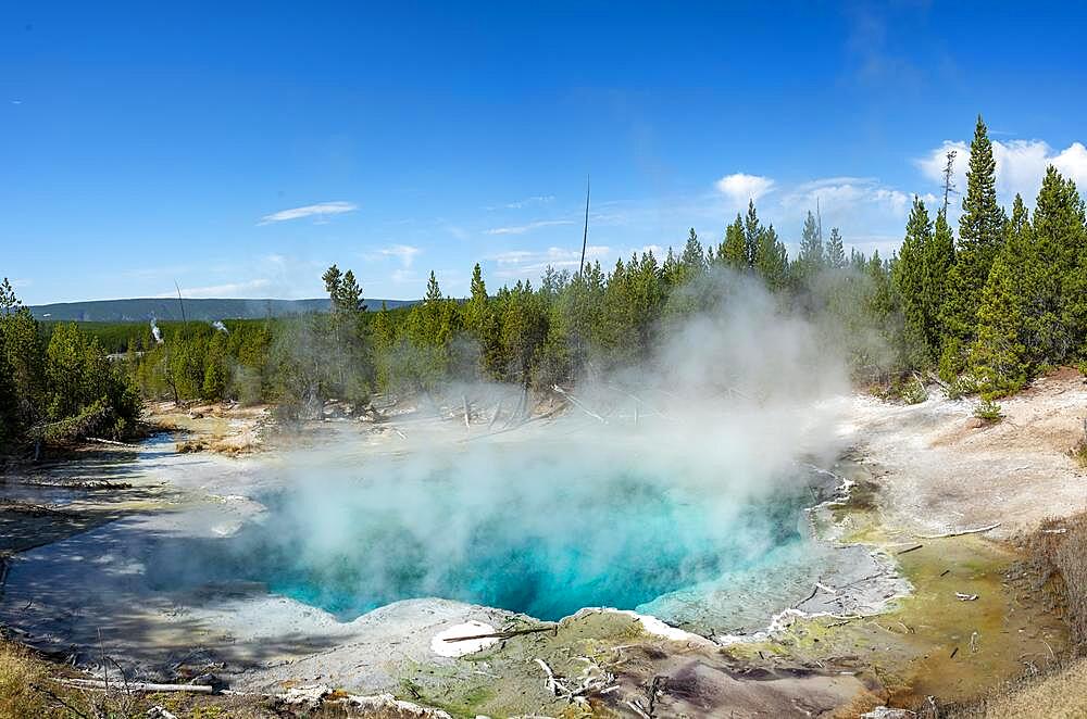 Emerald Spring, Noris Geyser Basin, Yellowstone National Park, Wyoming, USA, North America