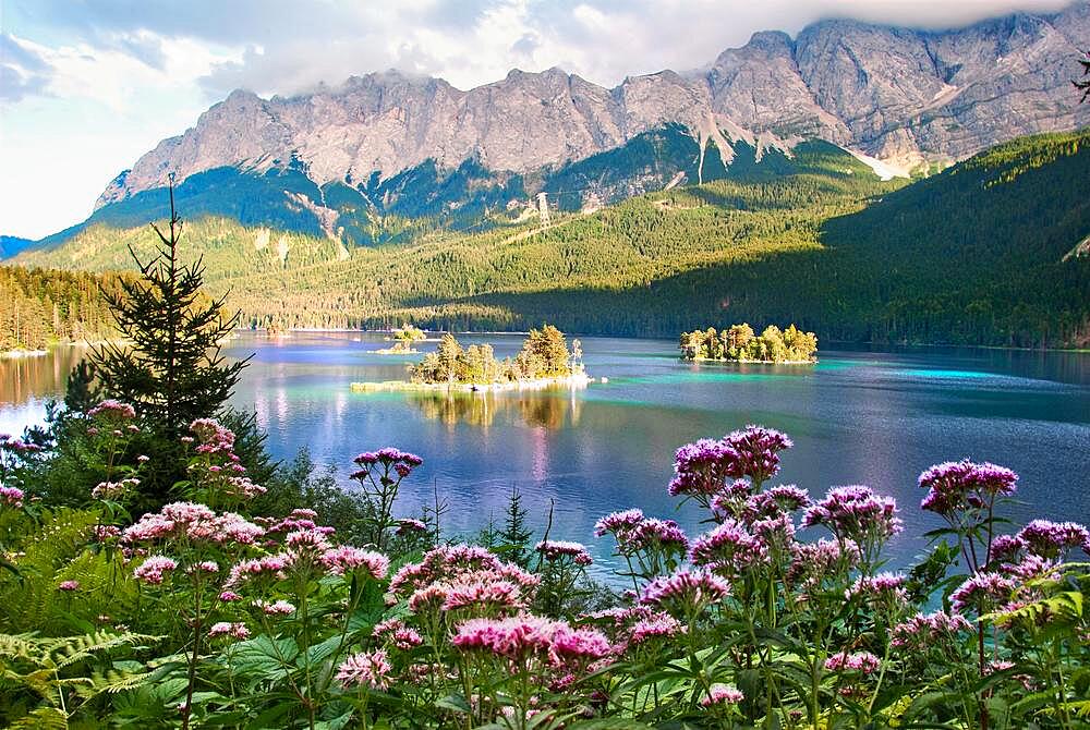 Lake with Zugspitze and islands, Eibsee lake, near Garmisch-Partenkirchen below the Zugspitze in the Wetterstein Mountains in Bavaria, Germany, Europe