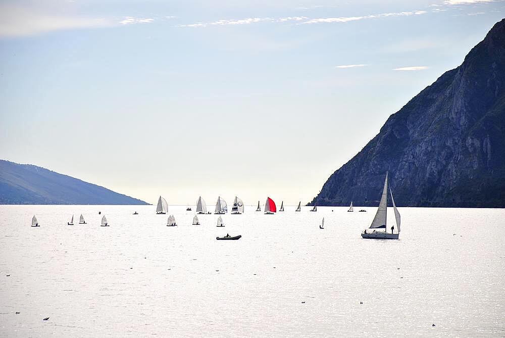 Lake Garda with sailing boats, Upper Italy, Italy, Europe