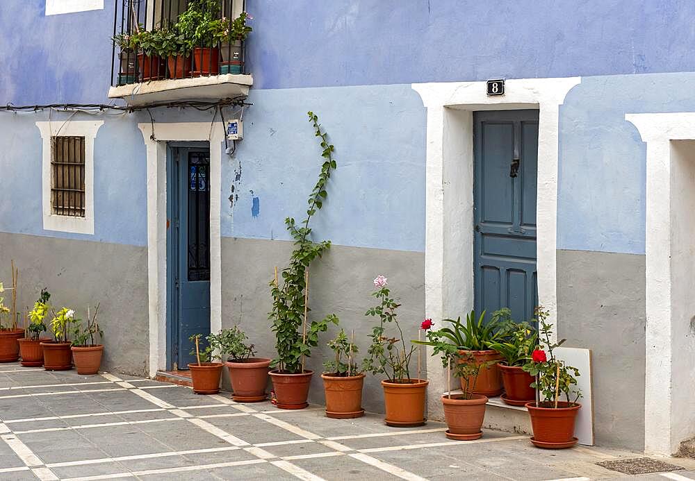 Blue House with flowerpots, Villajoyosa, Spain, Europe