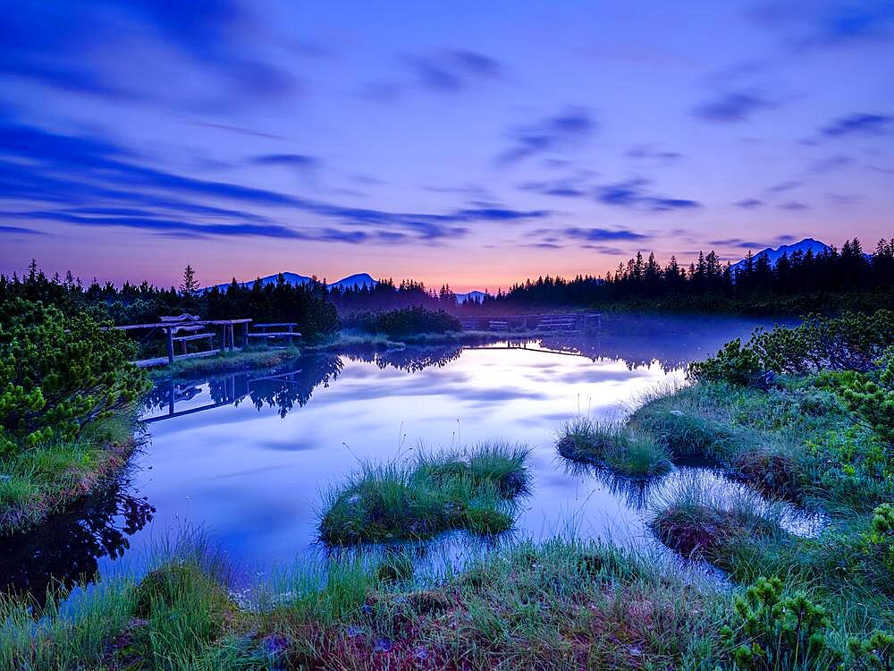 Morning atmosphere, moor lake in Loeckermoos, also Loeckernmoos, high moor, nature reserve, Salzkammergut, Upper Austria, Austria, Europe