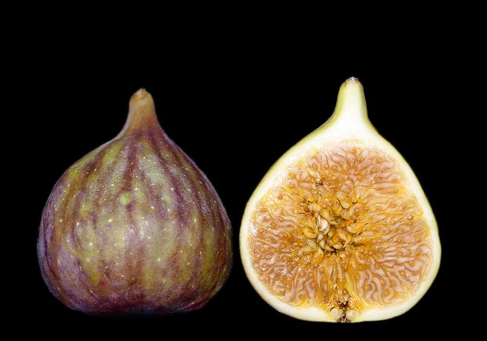 Halved Common fig (Ficus carica), studio shot against black background