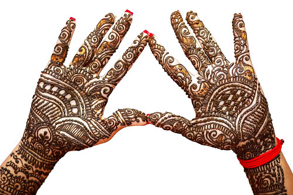 Indian Bride's hand painted with mehndi isolated on white background. Mauritius, Africa