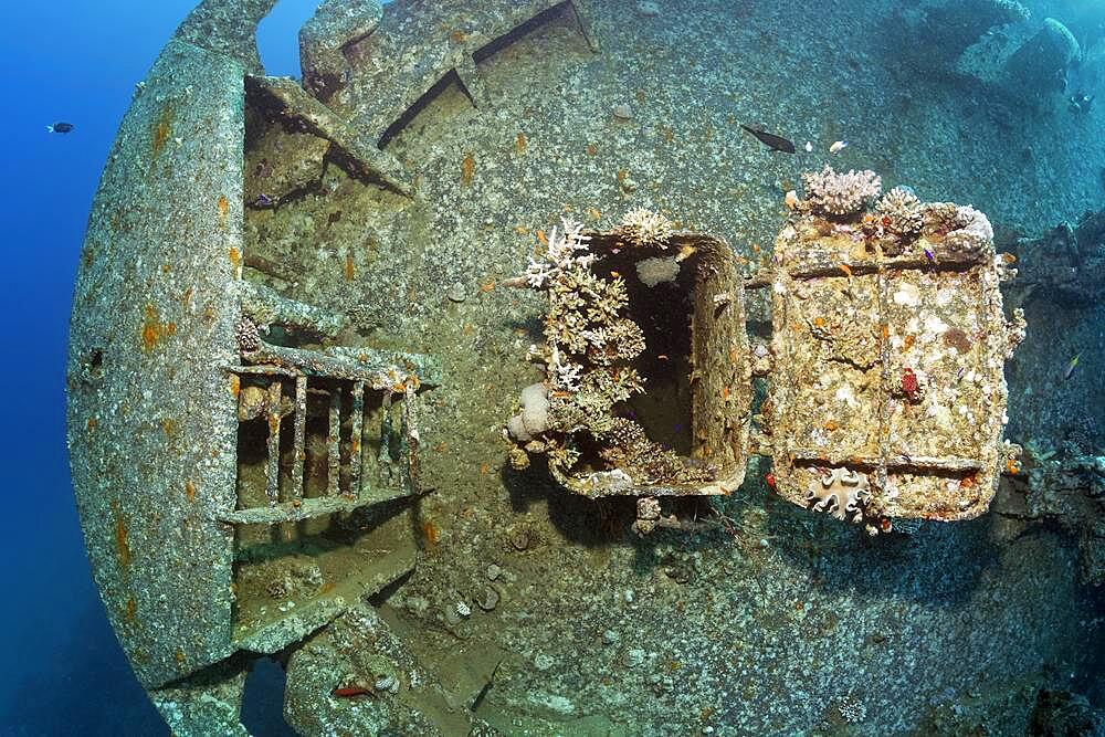 Entrance covered with stony corals (Scleractinia) at the bow of the Cedar Pride, shipwreck, wreck, Red Sea, Aqaba, Jordan, Asia