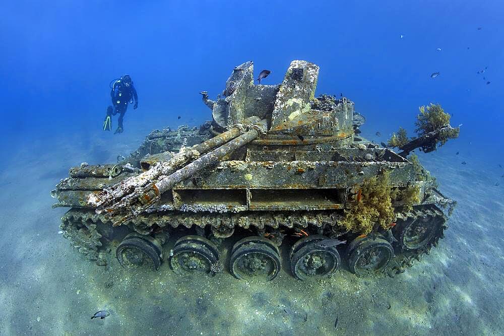 Diver, American tank M42 Duster with self-rotating 40mm anti-aircraft gun, wreck, Red Sea, Aqaba, Kingdom of Jordan