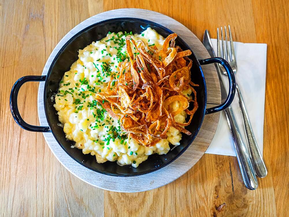 Cheese spaetzle with fried onion, Salzburger Land, Austria, Europe