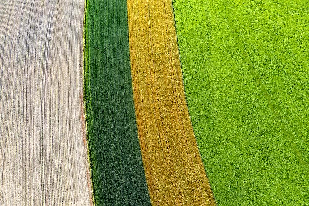 Drone image, agricultural landscape, agricultural fields and meadows near Waldzell, Innviertel, Upper Austria, Austria, Europe