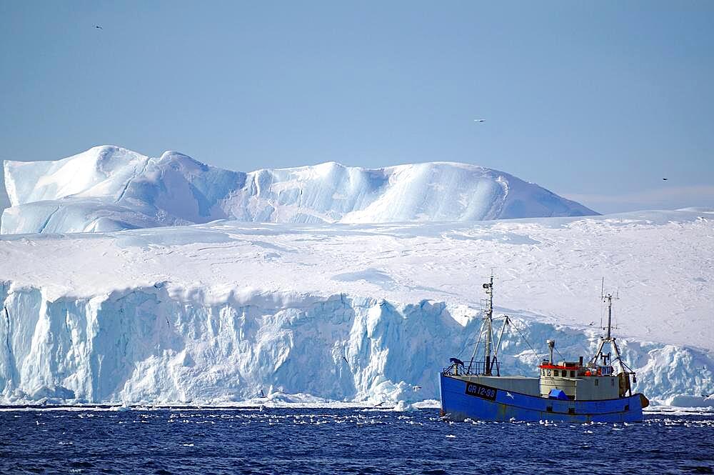 Small fishing boat in front of huge icebergs and drift ice, seagulls, winter, Disko Bay, Ilulissat, West Greenland, Denmark, Europe