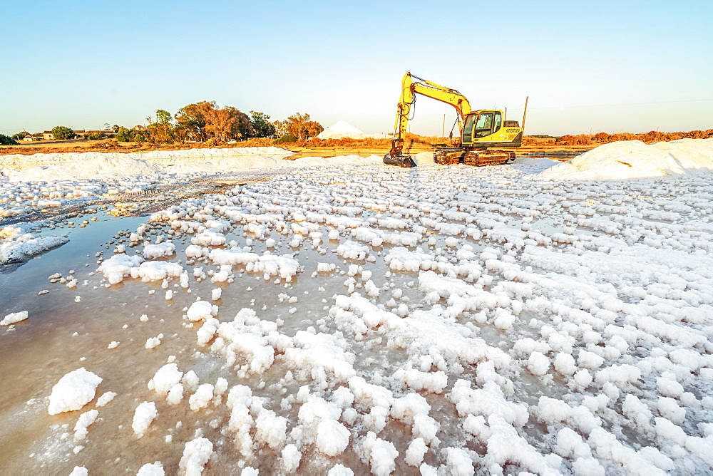 Excavator harvesting sea salt, aline, Faro, Algarve, Portugal, Europe