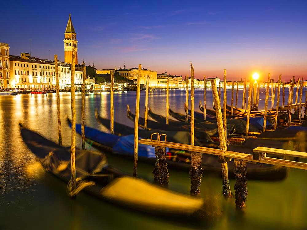 Gondolas on the Grand Canal at dawn, the Doge's Palace and the Campanile bell tower in the background, Venice, Venezia, Veneto, Italy, Europe