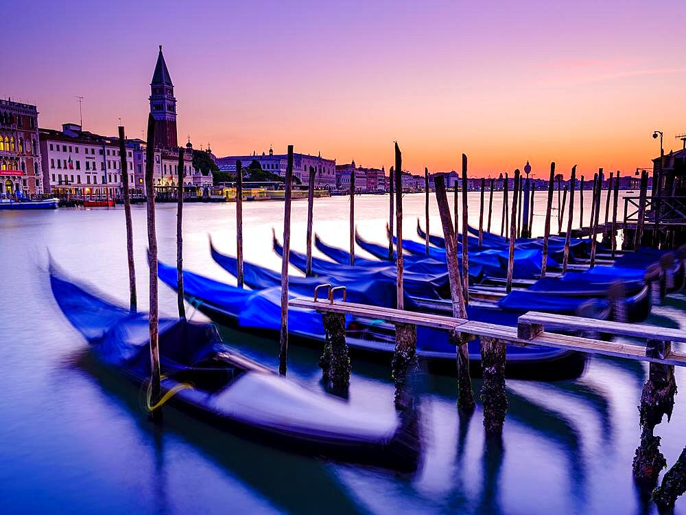 Gondolas on the Grand Canal at dawn, the Doge's Palace and the Campanile bell tower in the background, Venice, Venezia, Veneto, Italy, Europe