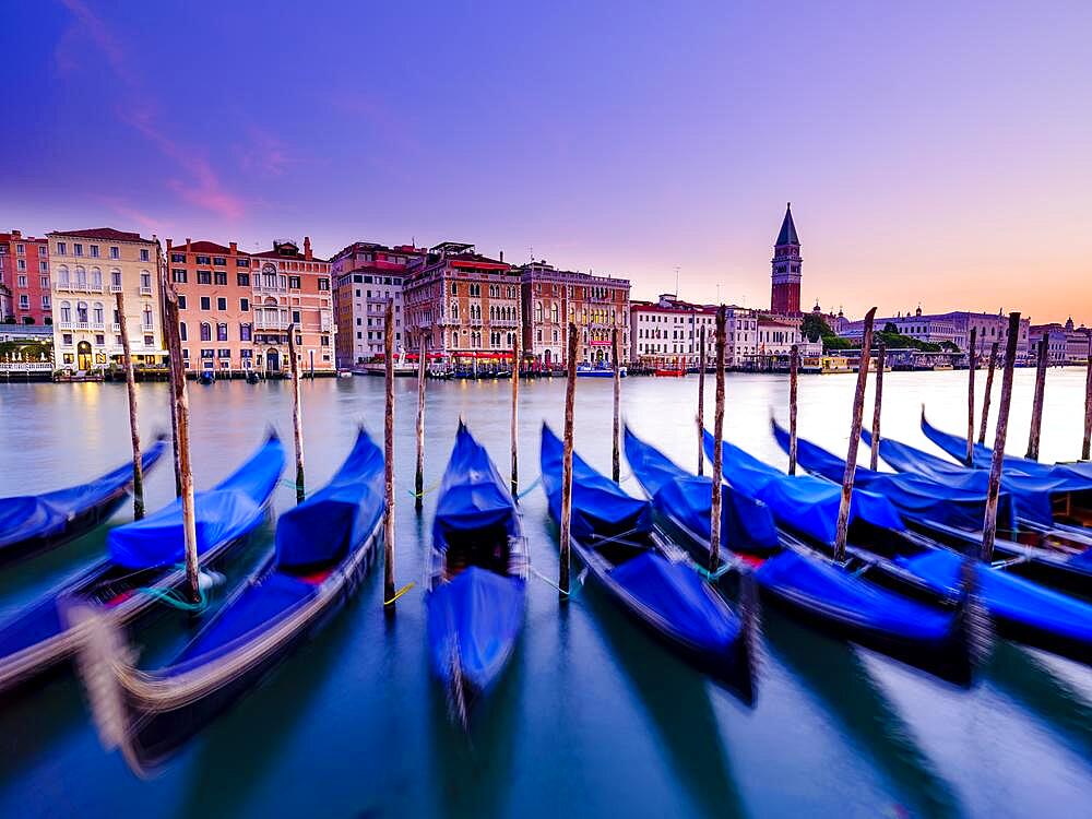 Gondolas on the Grand Canal at dawn, the Doge's Palace and the Campanile bell tower in the background, Venice, Venezia, Veneto, Italy, Europe