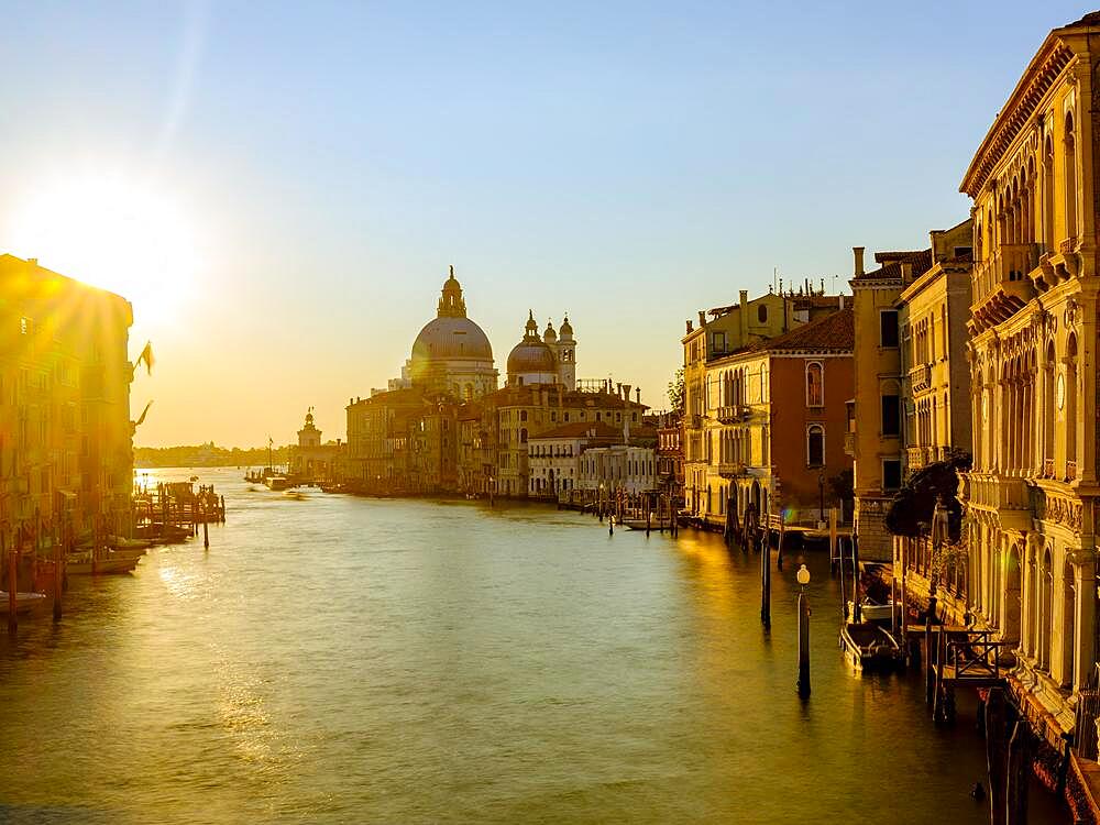 Grand Canal at sunrise, with the Church of Santa Maria della Salute in the background, Venice, Venezia, Veneto, Italy, Europe