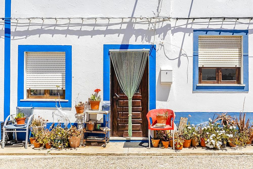 Exterior of traditional Portuguese house with urban garden in front of the house in Alentejo, Zambujeira do Mar, Portugal, Europe