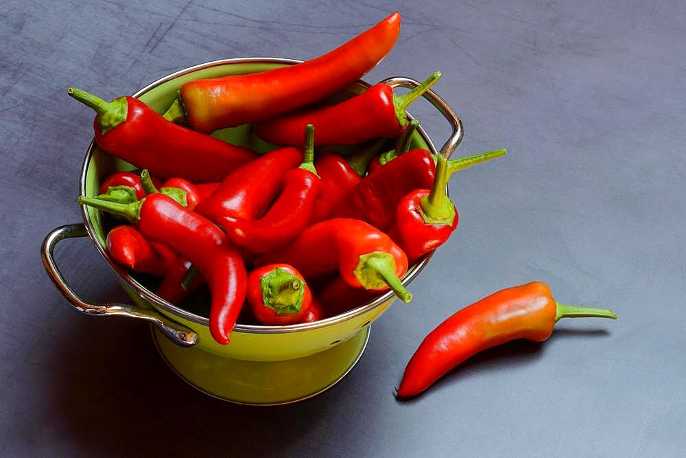 Red peppers in sieve, Germany, Europe