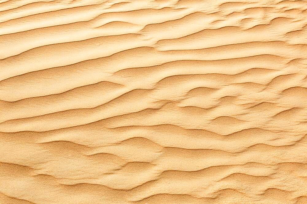 Desert Sand in Dubai, United Arab Emirates, Asia