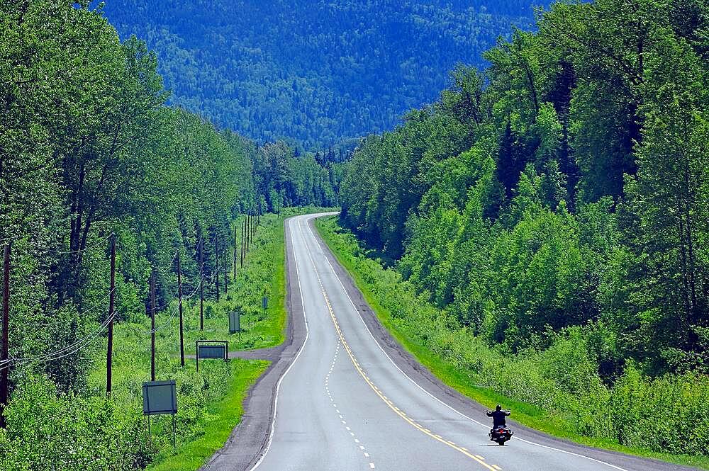 Motorcyclist on endless highway without traffic, Trans Canada Highway, British Columbia, Canada, North America