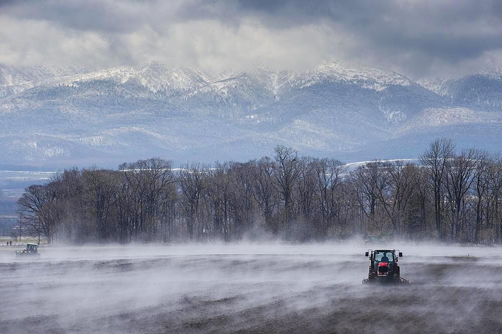 Tractor seeding a field while it is vaporating from the warm ground, Unesco world heritage site Shiretoko National Park, Hokkaido, Japan, Asia