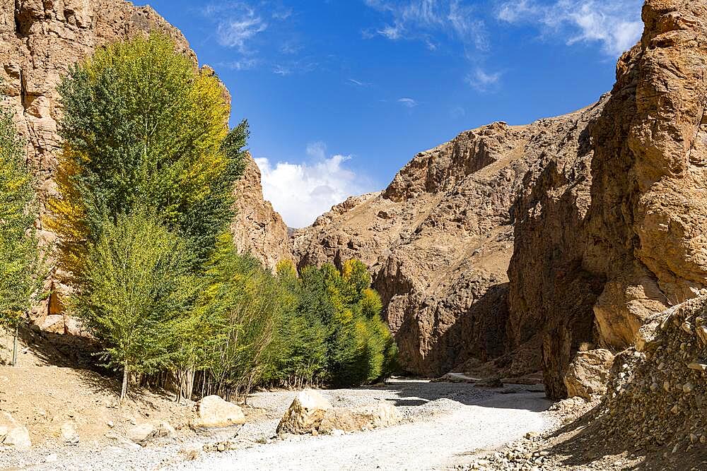 Road leading through a deep gorge, Yakawlang province, Bamyan, Afghanistan, Asia