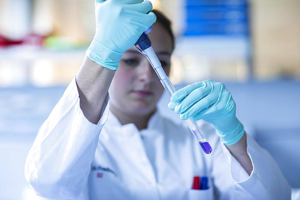 Lab technician pipetting a sample in the lab, Freiburg, Baden-Wuerttemberg, Germany, Europe