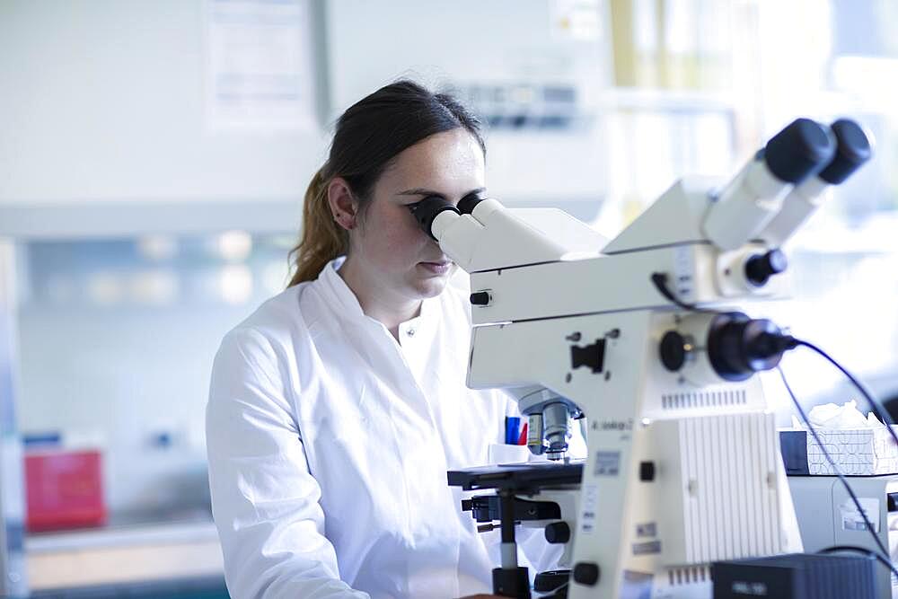 Young laboratory assistant with microscope and sample working in a laboratory with light microscope, Freiburg, Baden-Wuerttemberg, Germany, Europe