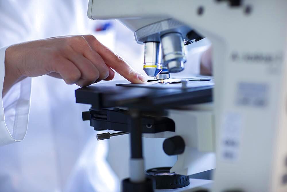 Hand of a lab technician with microscope and sample working in a lab with light microscope, Freiburg, Baden-Wuerttemberg, Germany, Europe