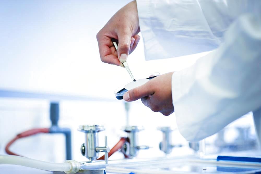 Young laboratory assistant with sample and tweezers working in a laboratory with laboratory equipment, Freiburg, Baden-Wuerttemberg, Germany, Europe