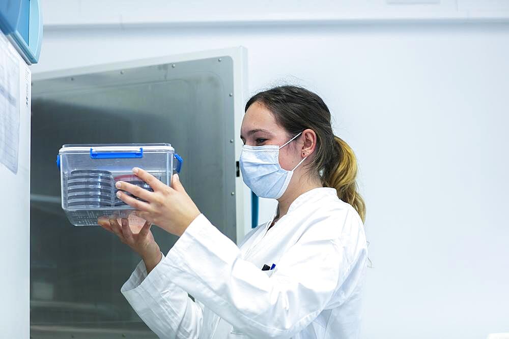 Young laboratory assistant with sample and laboratory glasses working in a laboratory with laboratory equipment, Freiburg, Baden-Wuerttemberg, Germany, Europe