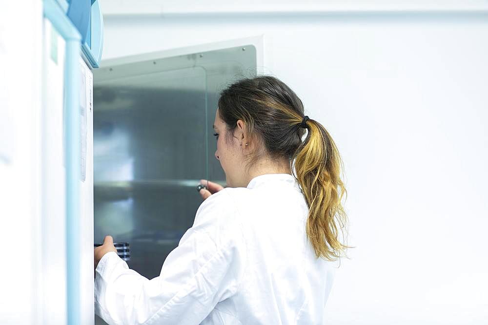 Petri dishes in the hand of a laboratory technician at the drying cabinet in the laboratory, insertion of a multiple sample into a laboratory device, Freiburg, Baden-Wuerttemberg, Germany, Europe