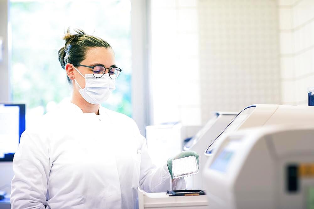 Young lab technician with mouth guard and sample multilayer shell working in a lab with lab equipment, Freiburg, Baden-Wuerttemberg, Germany, Europe