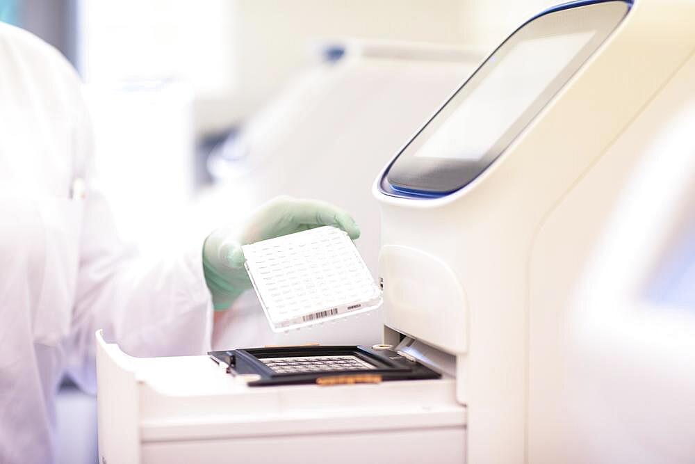 Multitube tray in one hand at a laboratory apparatus in a laboratory with laboratory glove, Freiburg, Baden-Wuerttemberg, Germany, Europe