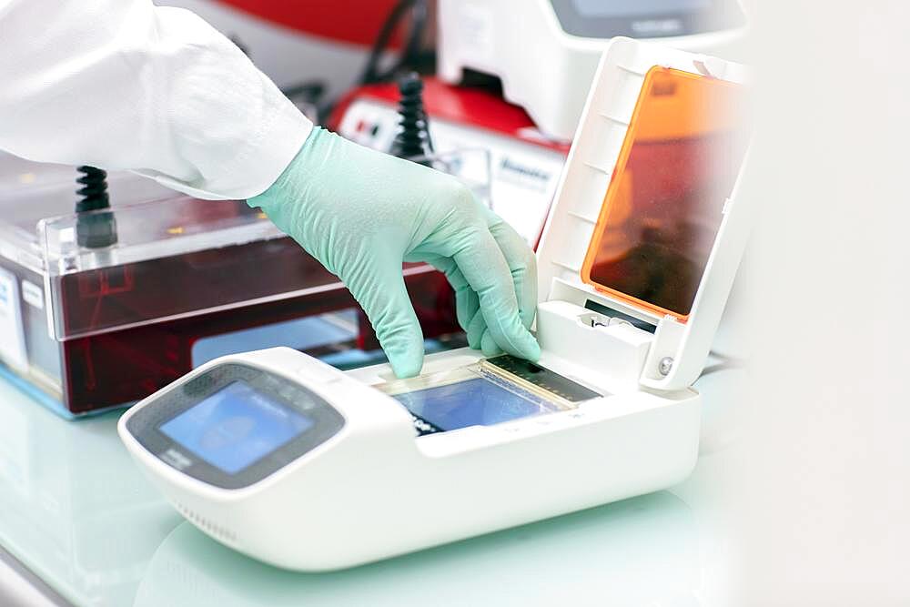 Use of a laboratory instrument with hand and laboratory glove, agarose, Freiburg, Baden-Wuerttemberg, Germany, Europe