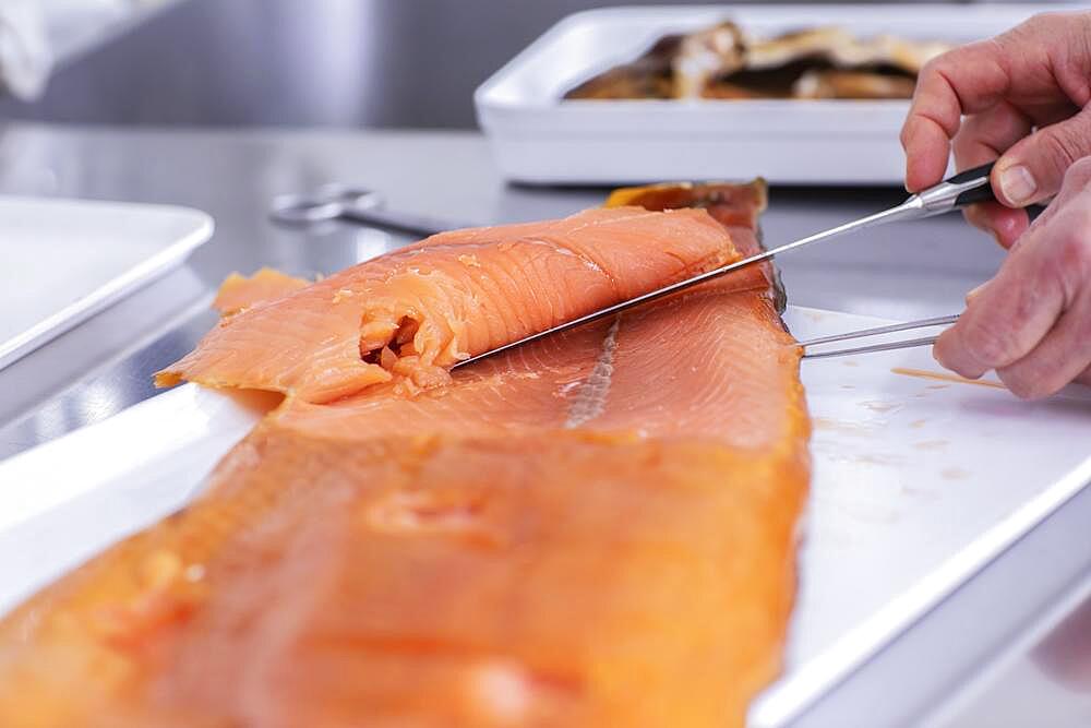 Fish preparation for laboratory evaluation in a food control laboratory with laboratory assistant, Freiburg, Baden-Wuerttemberg, Germany, Europe