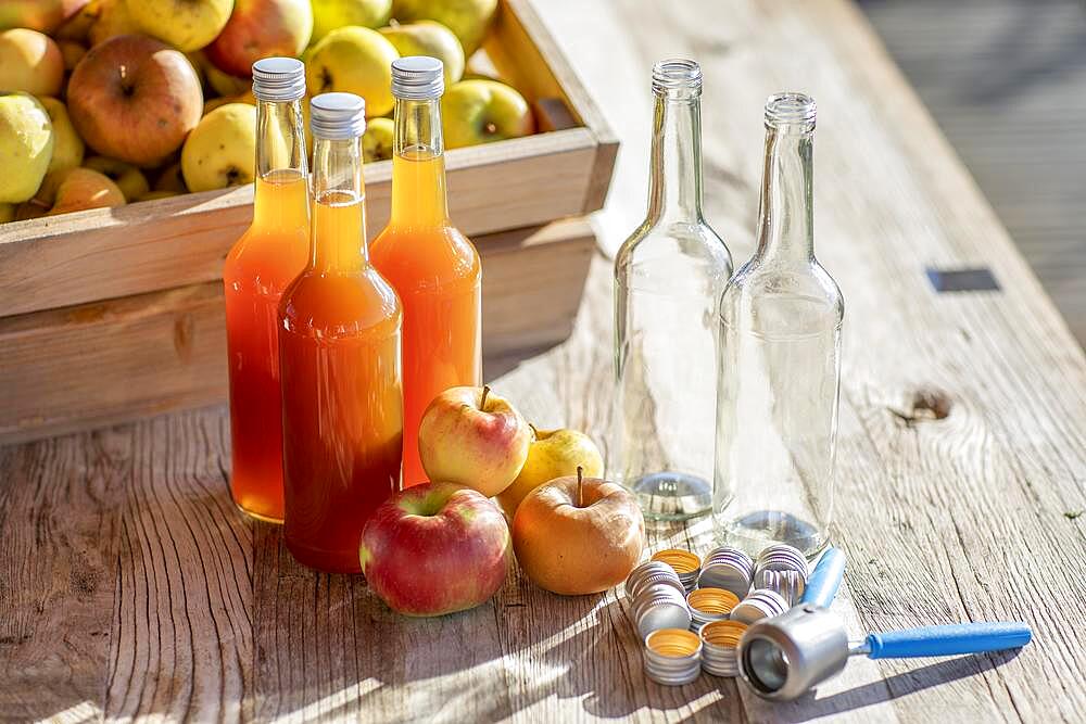 Apple juice naturally cloudy, homemade in juice bottle in front of apples in apple crate and screw caps with hand capper