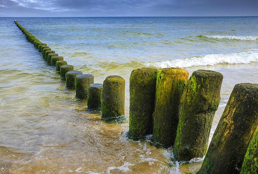 Groynes on the beach of Heringsdorf, Usedom Island, Mecklenburg-Western Pomerania, Germany, Europe