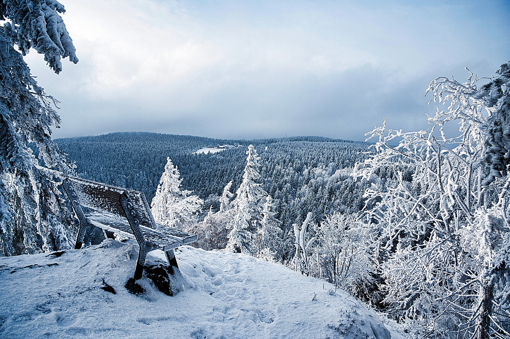 Frozen bench, spruces and snow at viewpoint on Schmuecke and Schneekopf in winter, Schmuecke Schneekopf view, Thuringian Forest, Thuringia, Germany, Europe