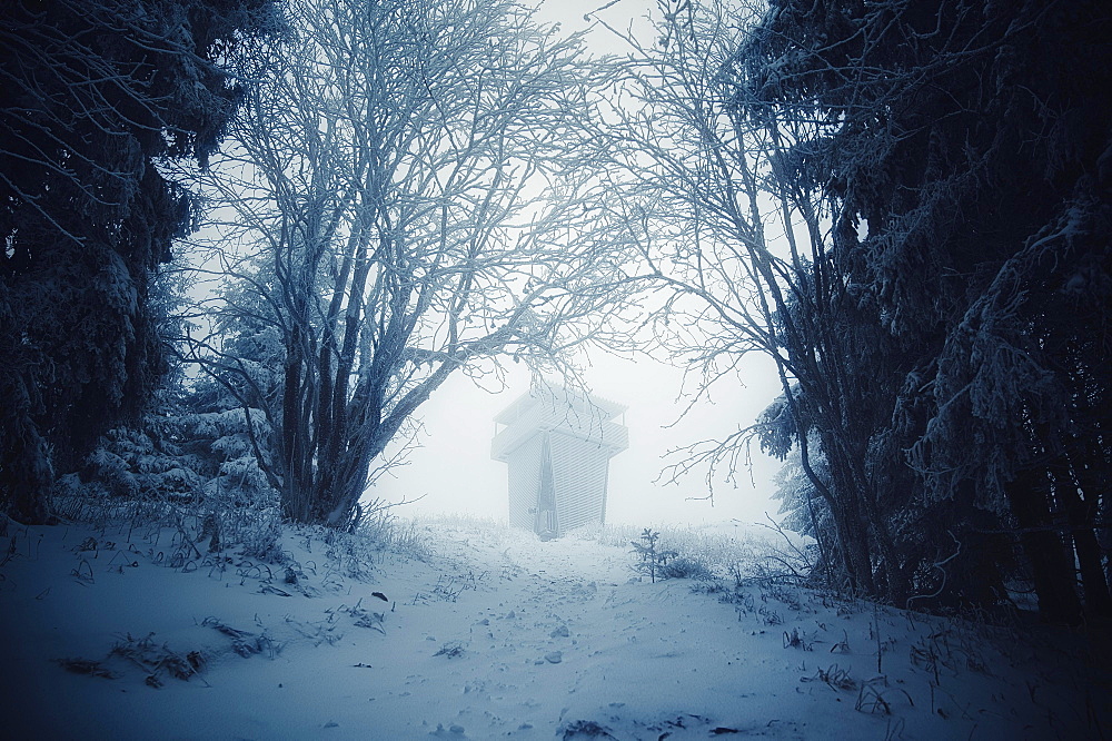 Tower in the forest in the fog in winter on Grosser Finsterberg, Thuringian Forest, Thuringia, Germany, Europe