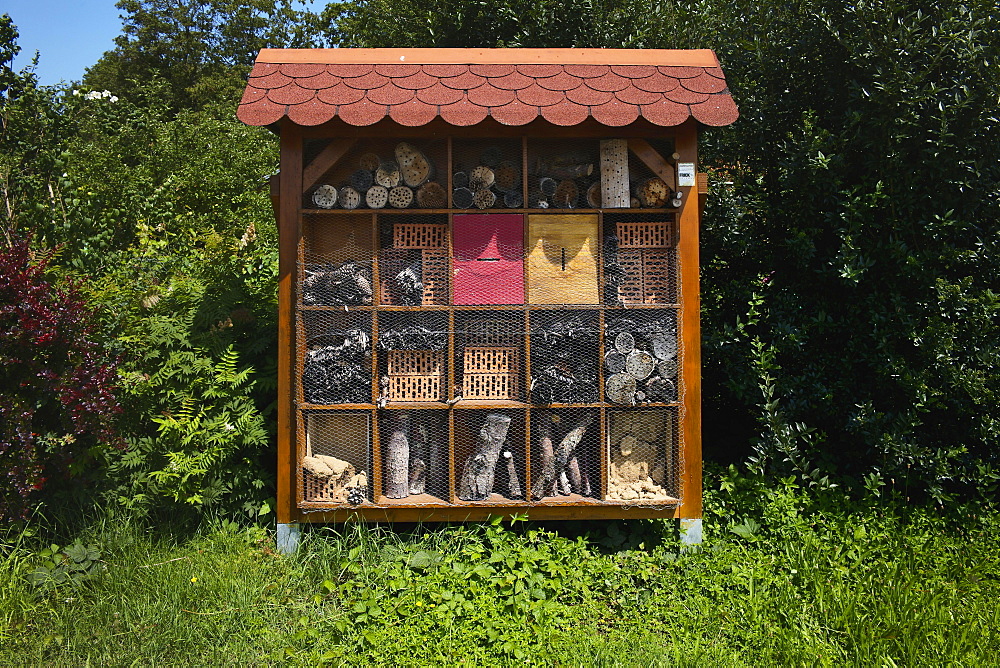 Insect hotel, bee hotel, Waiblingen, Baden-Wuerttemberg, Germany, Europe