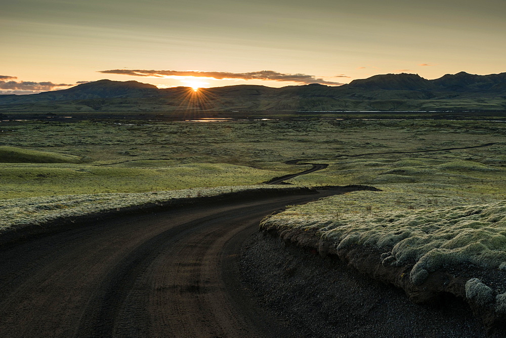 Backlight, sunset, dirt road leads through moss-covered volcanic landscape, Laki Crater or Lakagigar, Highlands, South Iceland, Suourland, Iceland, Europe