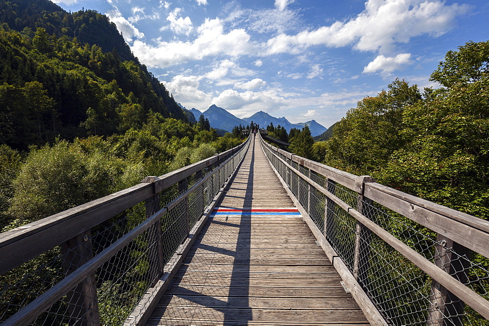 Treetop path, Ziegelwies forest adventure centre, Fuessen, Ostallgaeu, Allgaeu, Bavaria, Germany, Europe